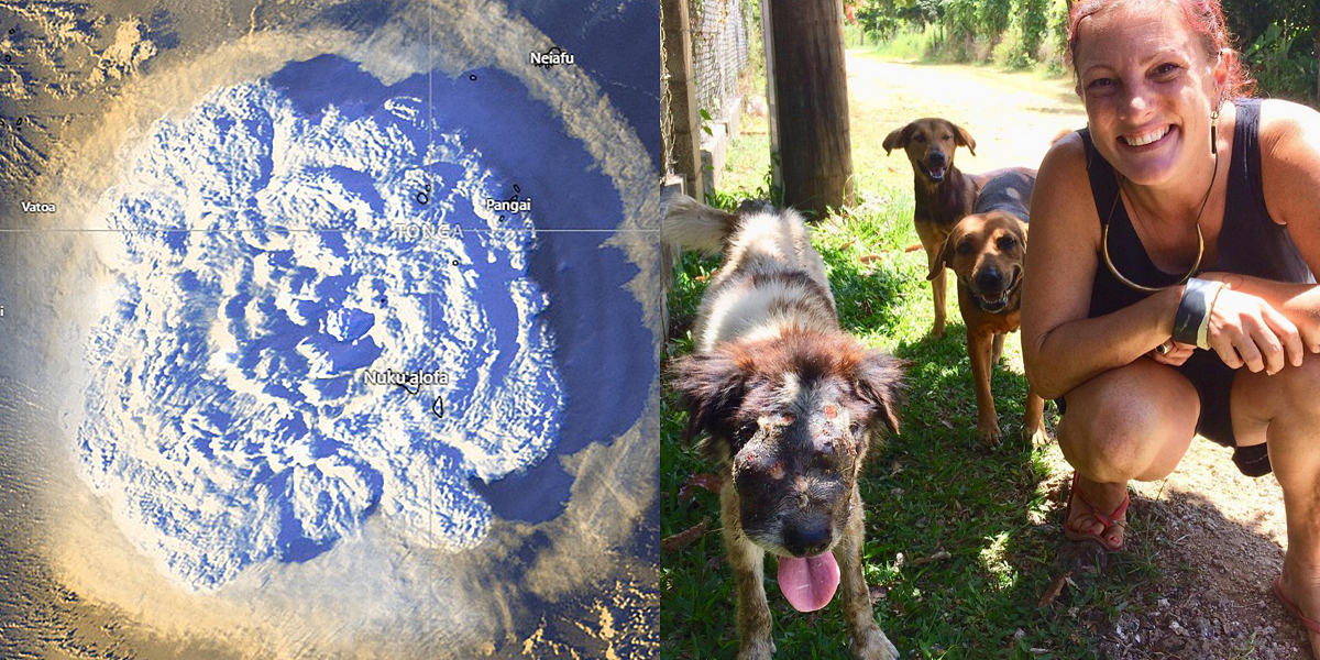 Erupción en Tonga: confirman que la primera fallecida es una mujer que intentó rescatar a sus perros
