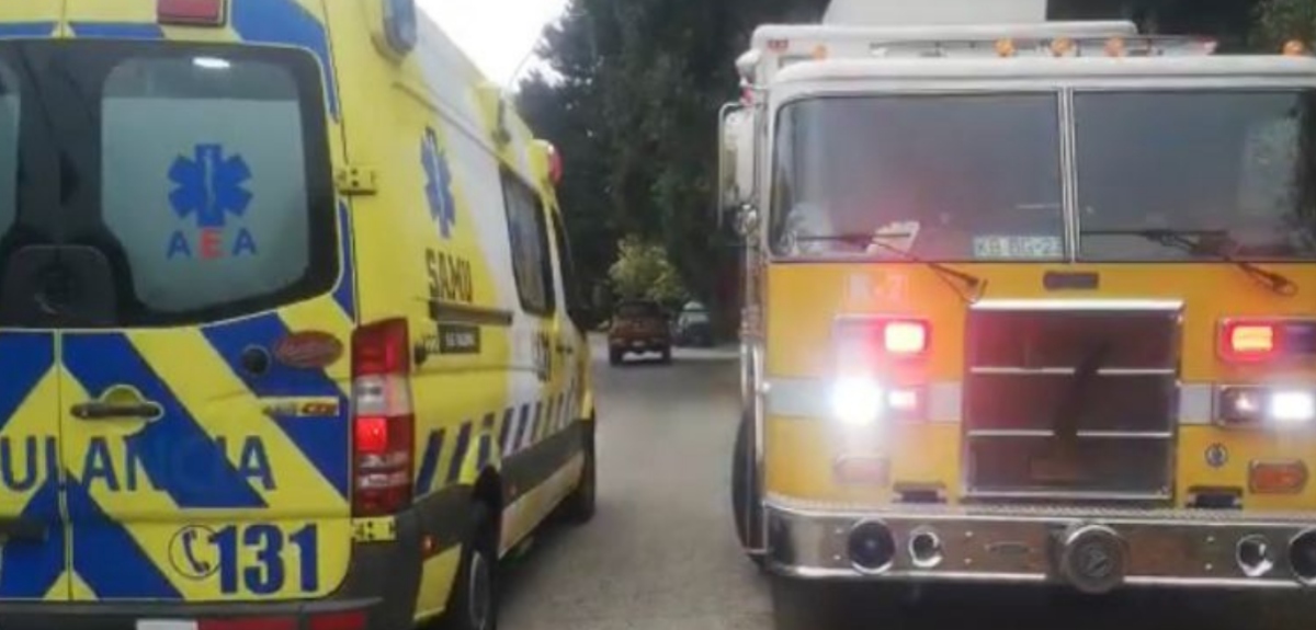 Habría colapsado por estrés: rescatan a mujer que se lanzó desnuda por barranco en Valdivia