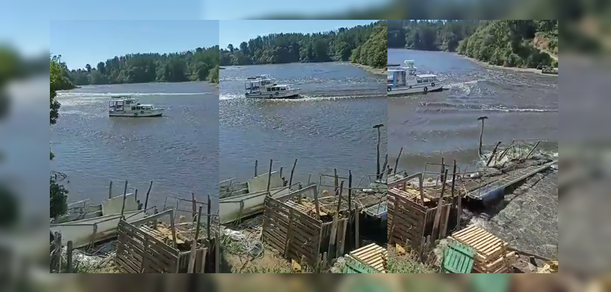 Video captó el momento exacto en que ingreso de tsunami destruyó muelle en Valdivia