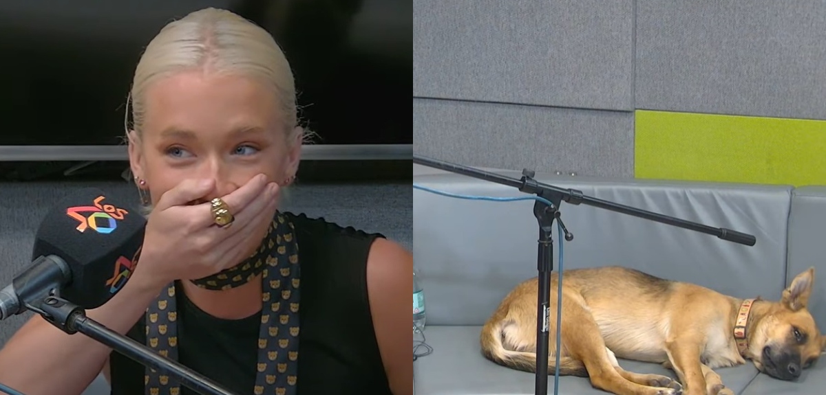 Mascota de Vesta Lugg protagonizó chascarro durante entrevista radial: 