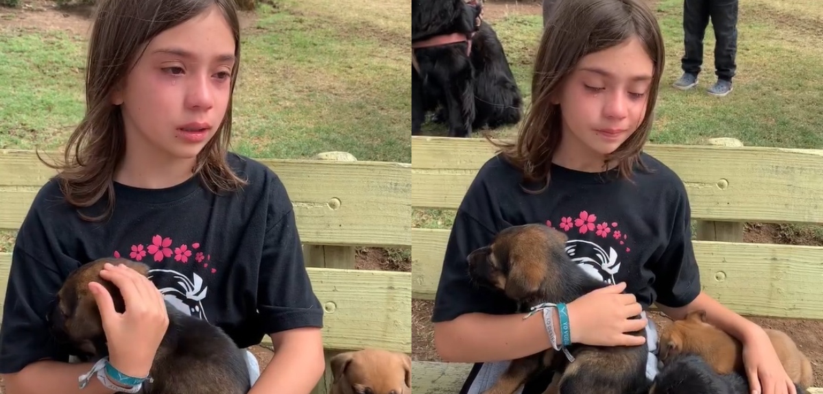 Pequeña actriz de Amar Profundo denunció abandono de cachorros en Concón: hizo desconsolado llamado