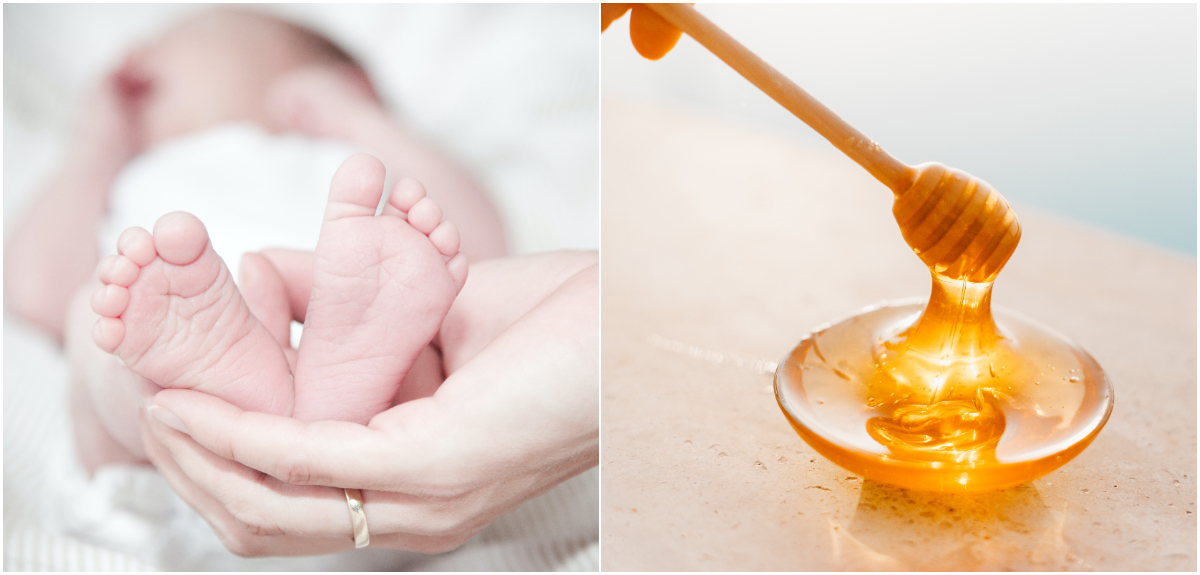 Especialista explica por qué no debes darle miel a un bebé: “Existen reportes recientes de muertes”