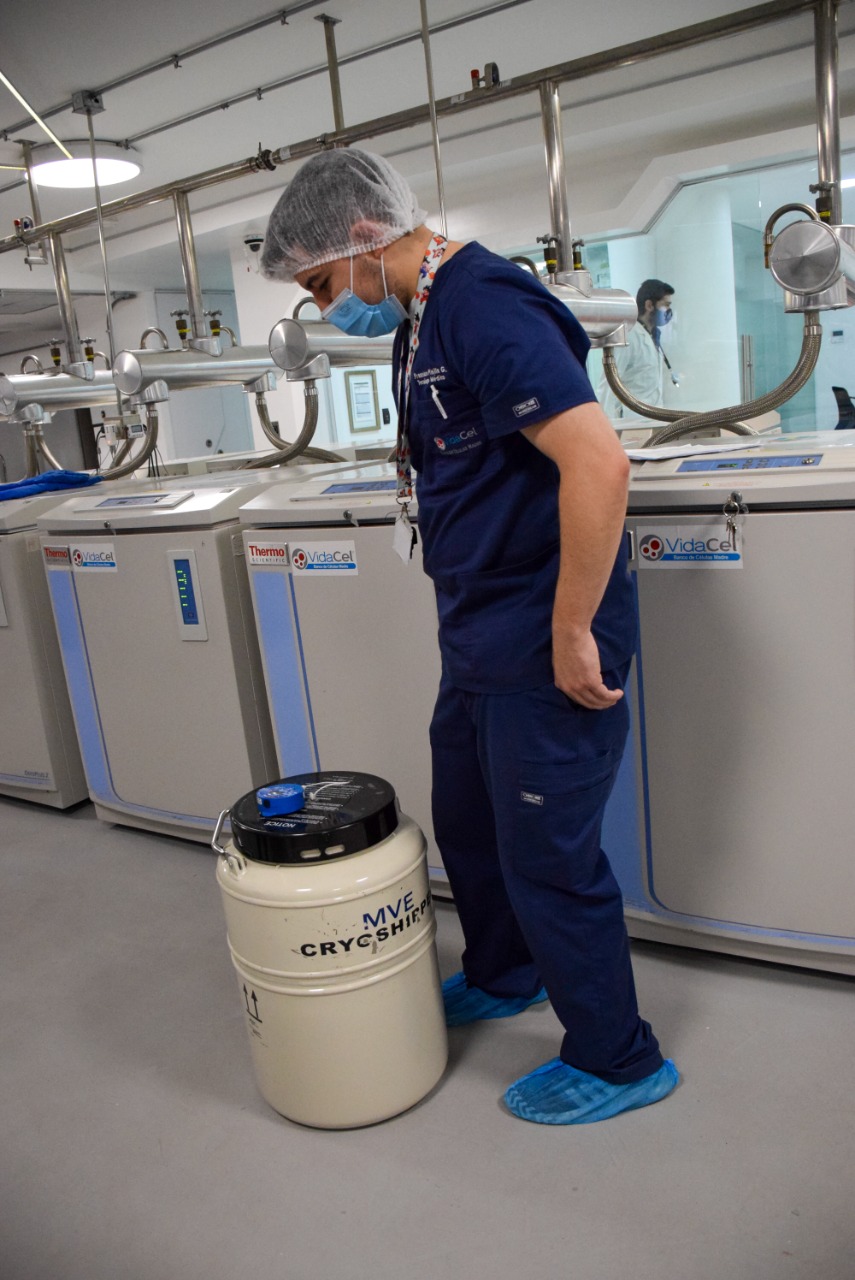 Inédito: muestra de células madre chilena fue enviada a Francia para salvar a niña de 2 años