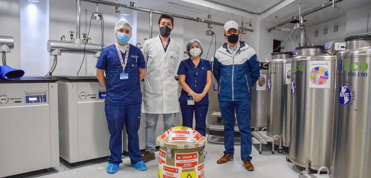Inédito: muestra de células madre chilena fue enviada a Francia para salvar a niña de 2 años