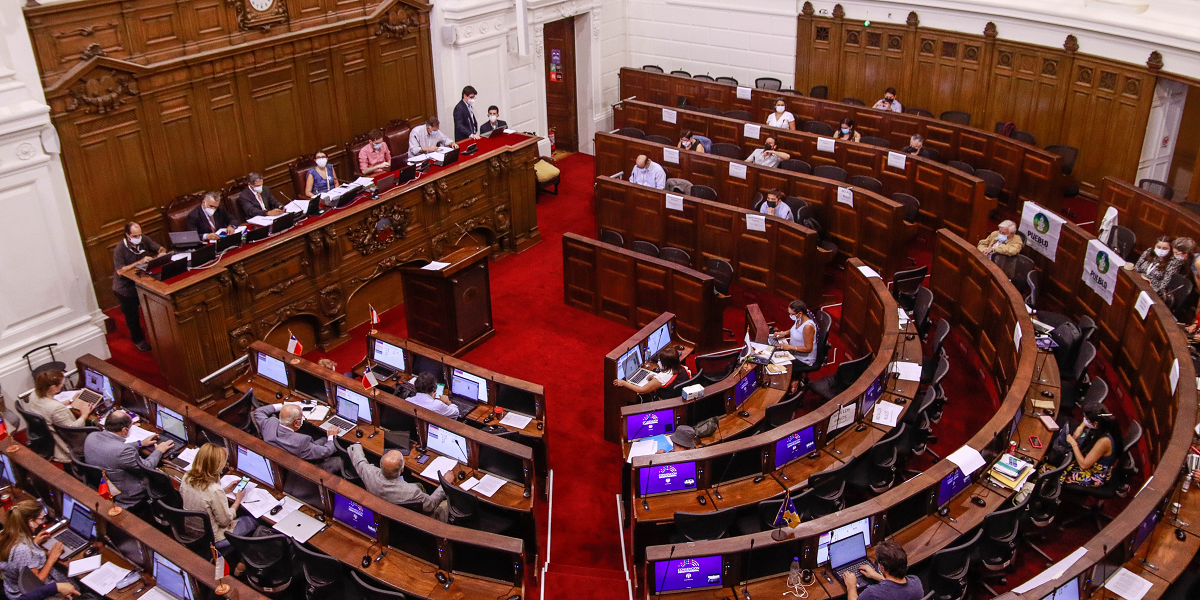 Convención aprobó artículo que declara a Chile como Estado 