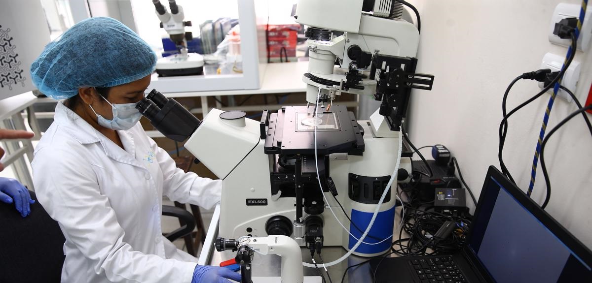 Científicos habrían curado a la primera mujer con VIH: se sometió a novedoso tratamiento