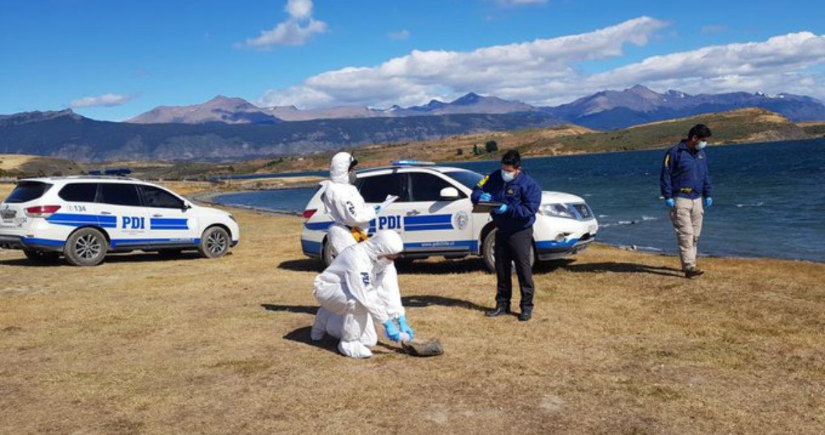 Homicidio de colombiano en Puerto Natales que fue hallado atado: estos detalles complican a acusados
