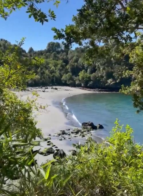 Loreto Aravena mostró su gran casa en el sur de Chile 