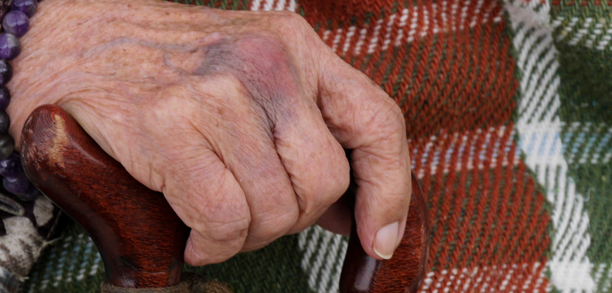 Hombre de 78 años murió en incendio forestal en Florida: se habría generado por fuego de parrilla