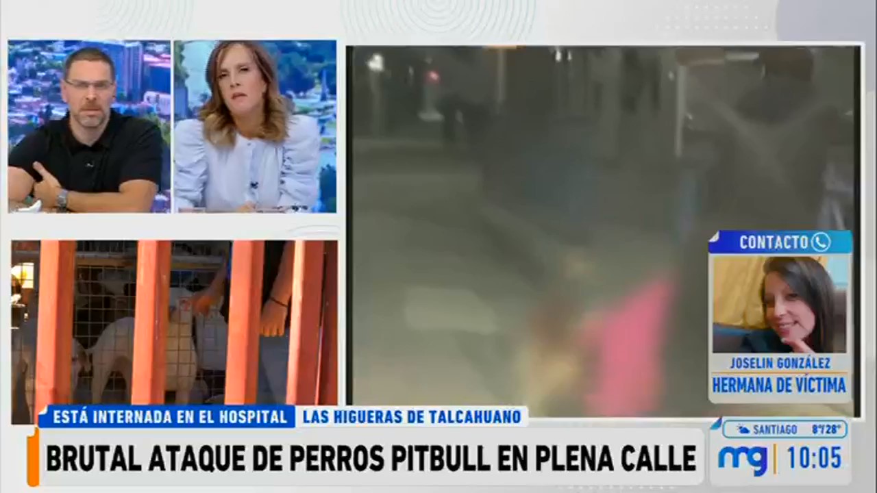 Hermana de víctima de ataque de perros acusó negligencia del dueño: “Ella pudo morir”