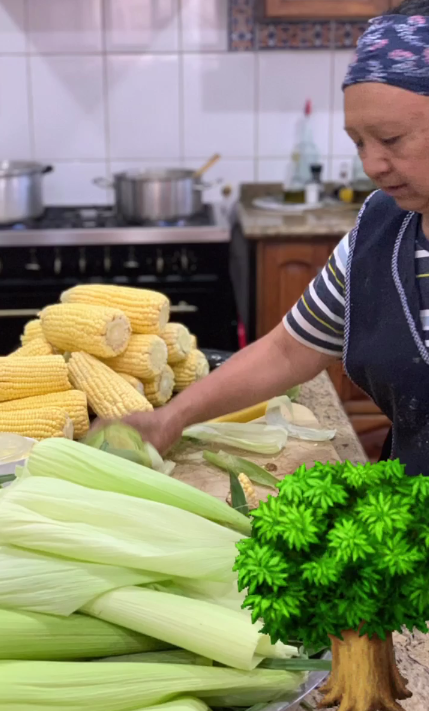 China Bazán estará a cargo de almuerzo de Boric con jefes de Estado: menú contempla platos chilenos