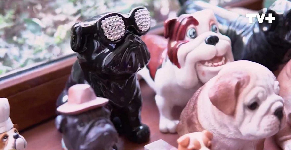 Maura Rivera coleccion bulldog