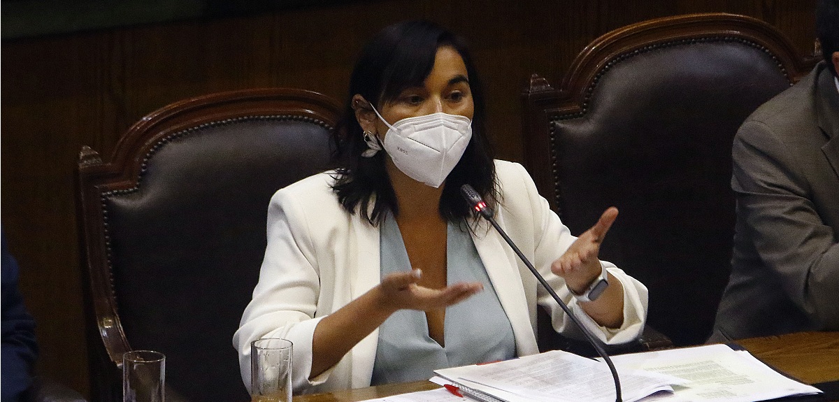 Tras disparos en La Araucanía: Gobierno descarta acciones legales y Siches espera volver a la zona