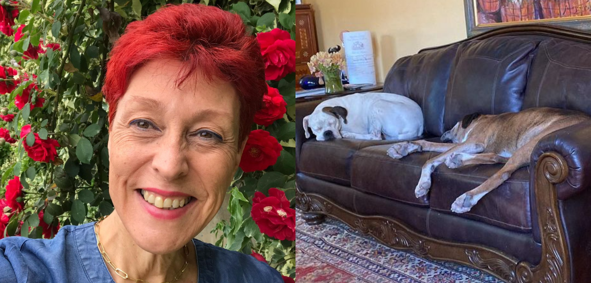 Mascotas de doctora Herrera protagonizaron divertido chascarro en pleno programa: 