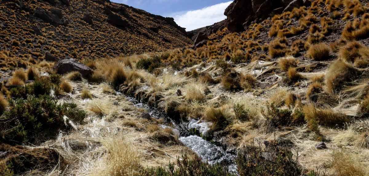 Las aguas del río Silala: detalles de la última disputa entre Chile y Bolivia en La Haya