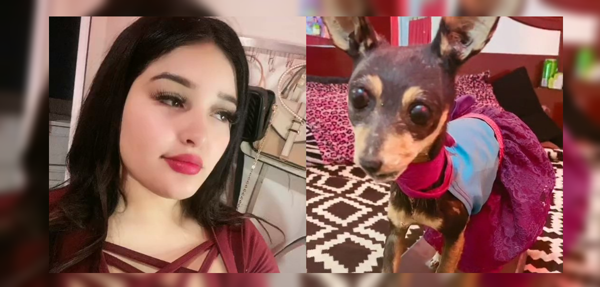 Joven tiktoker disecó a su mascota y el resultado no fue el que esperaba: video del momento es viral
