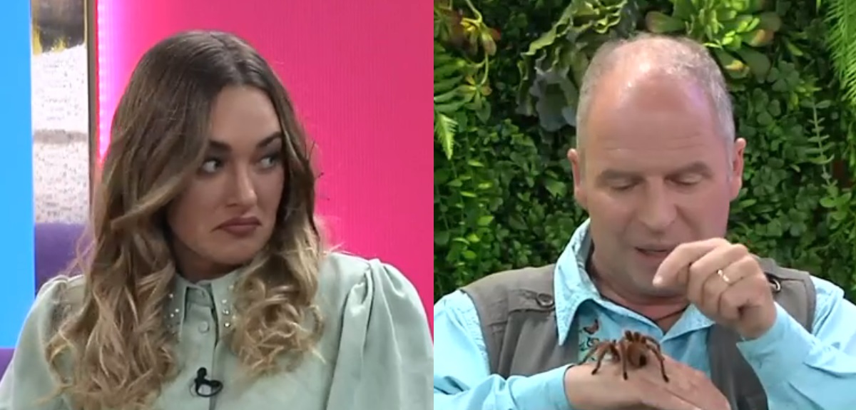 La inesperada reacción de Daniela Nicolás ante visita de Alfredo Ugarte a 'Más Vivi que nunca'