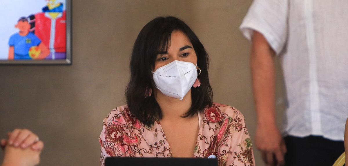 Izkia Siches volvió a comisión de Seguridad de la Cámara para aclarar dichos de falso vuelo