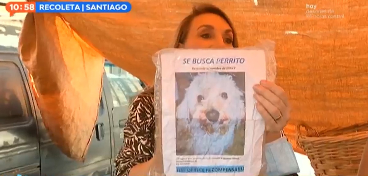 Pequeña niña irrumpió en despacho de Karen Doggenweiler y Mauricio Pinilla: buscaba a su mascota