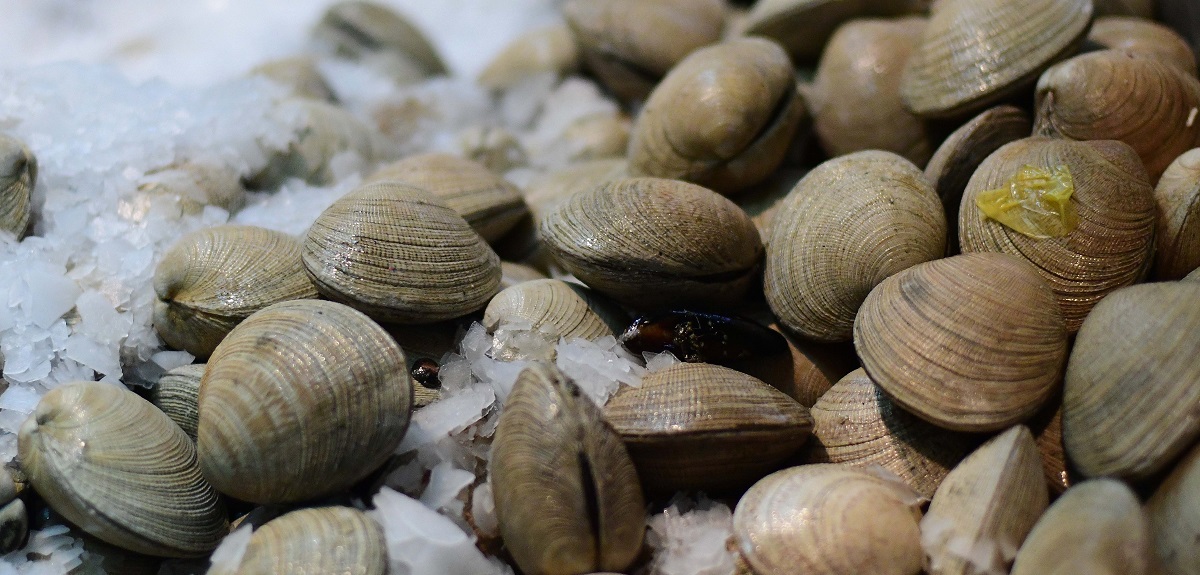 Niño de 3 años murió tras comer mariscos con marea roja en Los Lagos: tres personas más están graves