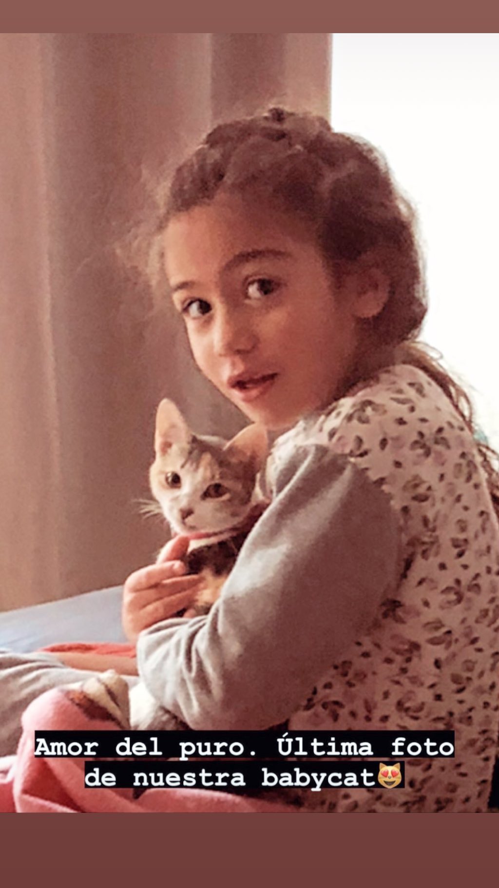 Vivi Rodrigues se mostró muy afectada por muerte de su mascota: “Intuimos que la mataron”