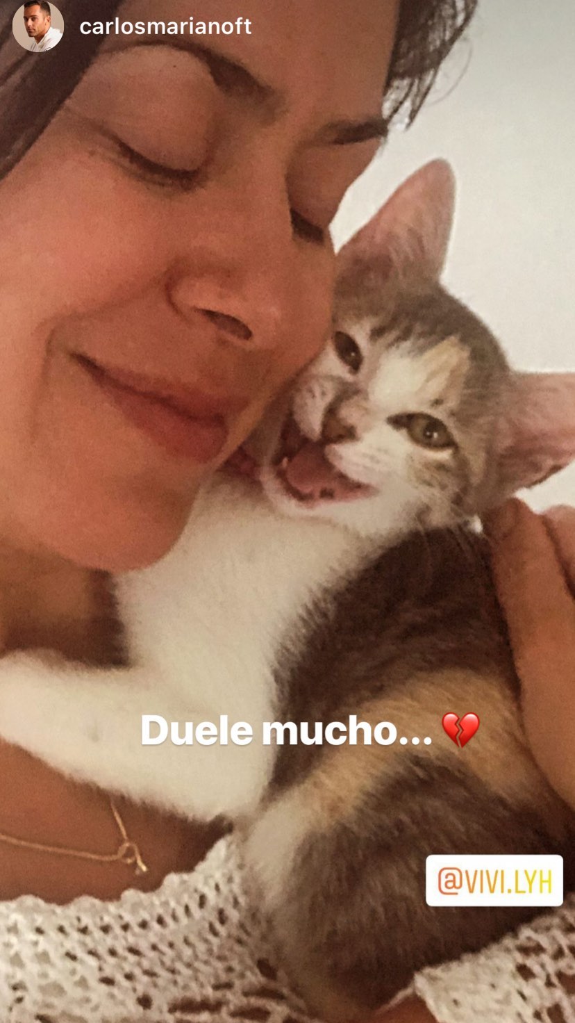 Vivi Rodrigues se mostró muy afectada por muerte de su mascota: “Intuimos que la mataron”