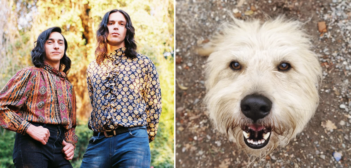 Abel y Camilo Zicavo lanzaron nuevo videoclip de 'Plumas': aparece Farkas, perro de Denise Rosenthal