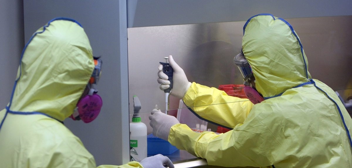 Viruela del mono: Perú declara alerta sanitaria pese a no haber detectado casos