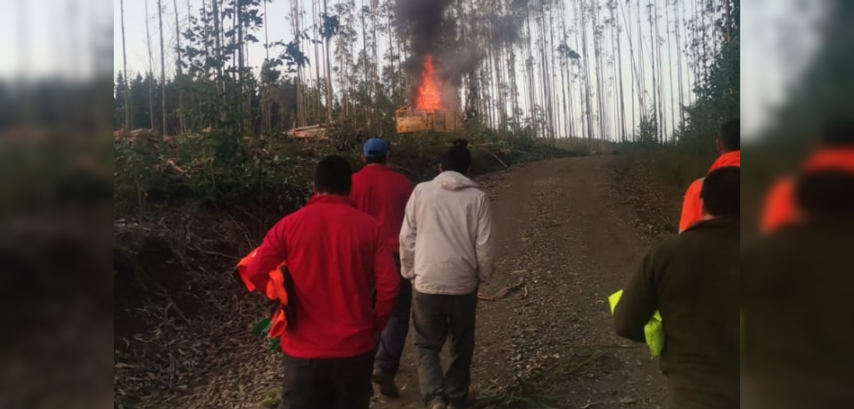 Reportan primer ataque incendiario en Biobío bajo Estado de Excepción: al menos 4 máquinas quemadas