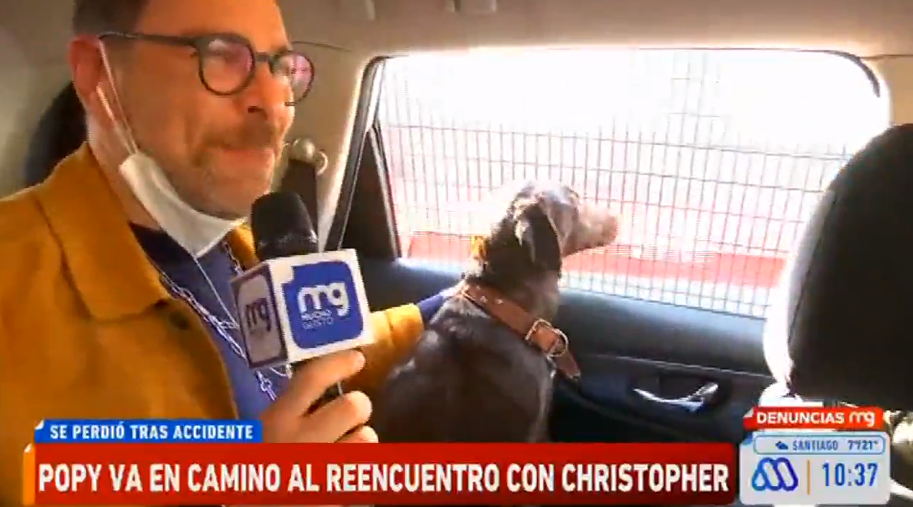 "El país no está tan perdido": masiva búsqueda de perrita tuvo conmovedor final en 'Mucho Gusto'