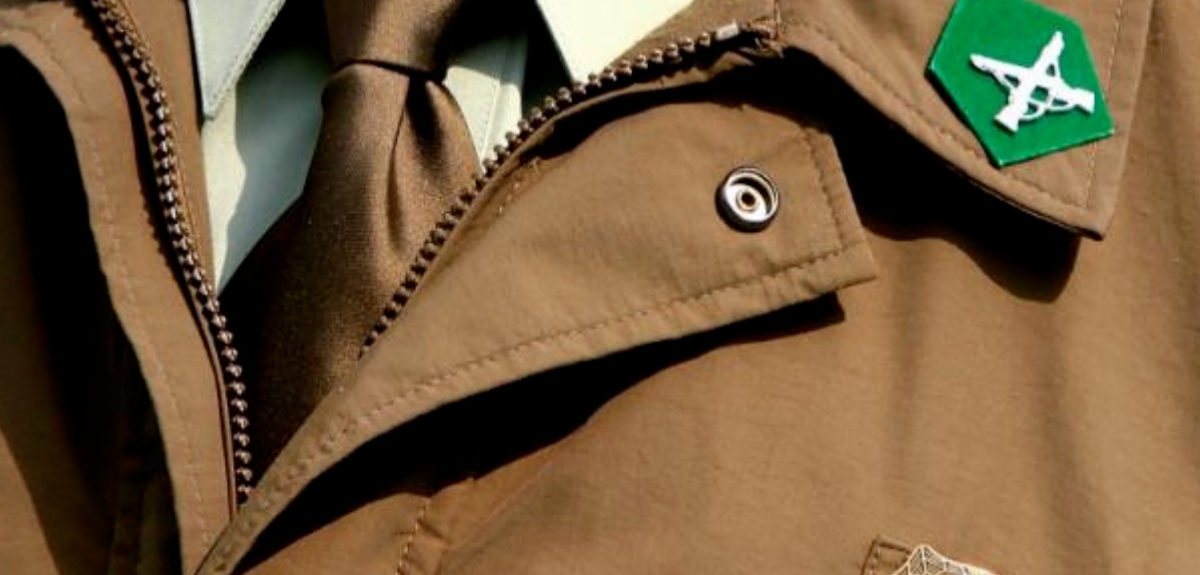 Carabinero fue dado de baja tras chocar contra un árbol: estaba bajo efectos del alcohol