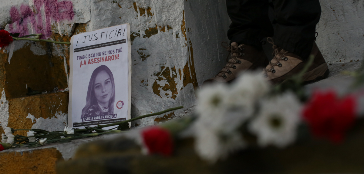 Crimen de Francisca Sandoval: peritajes revelan que bala fue disparada de un arma de grueso calibre