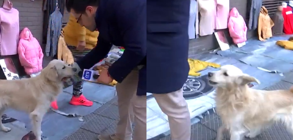 Periodista de Mucho Gusto lanzó exabrupto tras fallida 