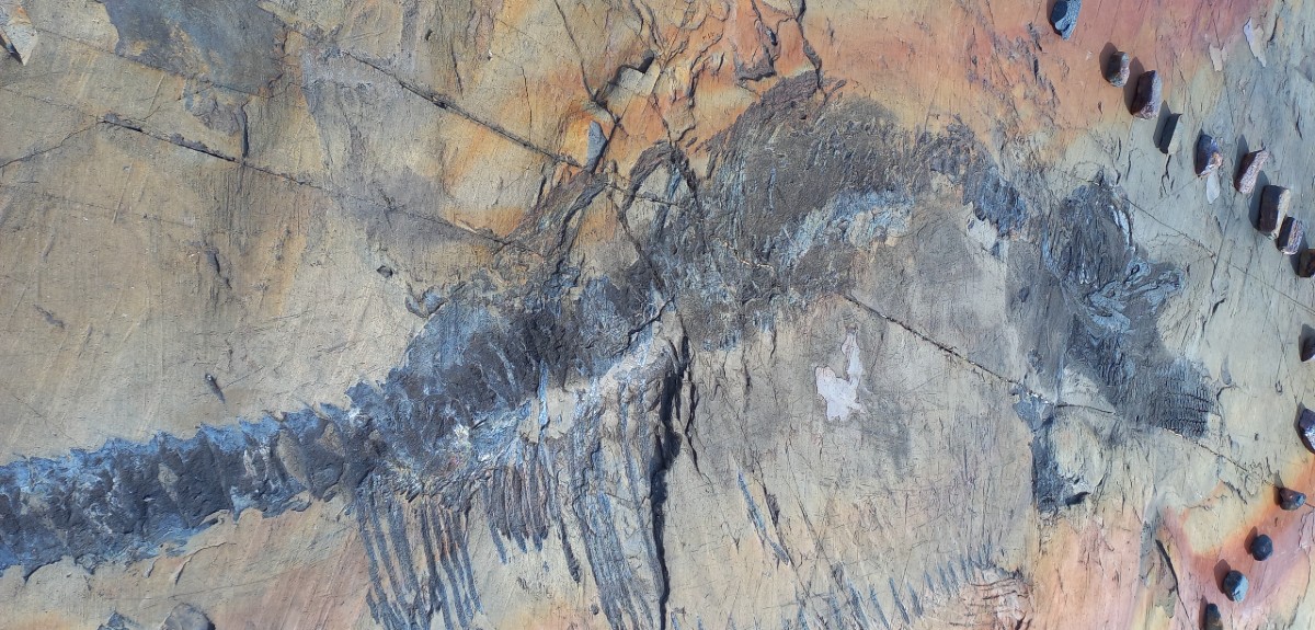 hallazgo Patagonia chilena