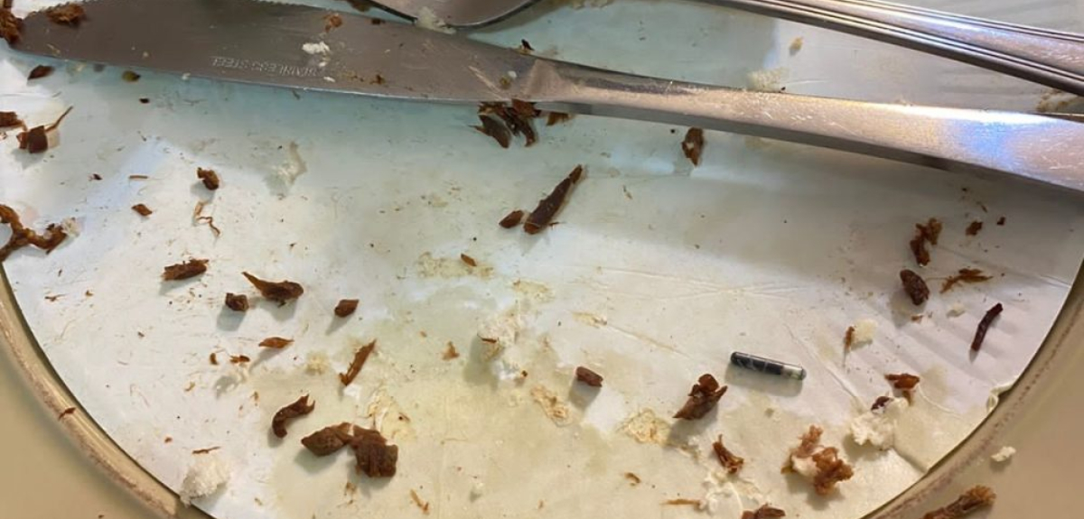 microchip local Concepción