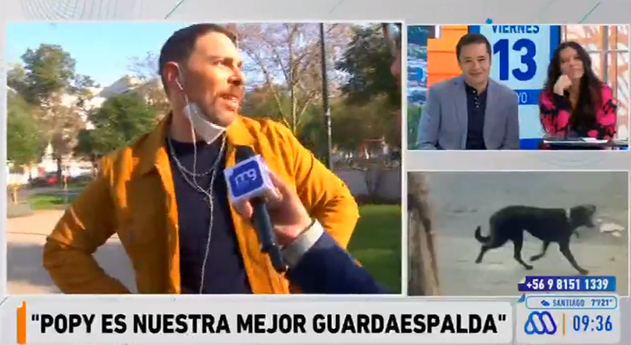La razón que motivó a José Antonio Neme a dejar en vivo estudio de Mucho Gusto: "Estoy frustrado"