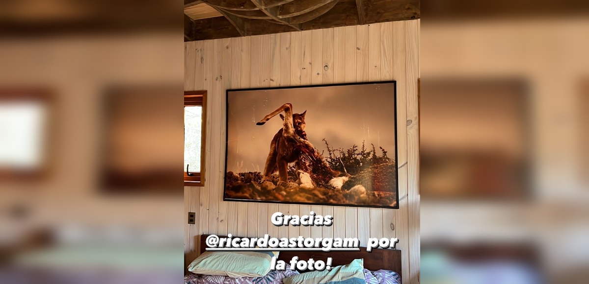 Pedro Astorga mostró colorida y artística decoración de la ducha de su casa en Pucón