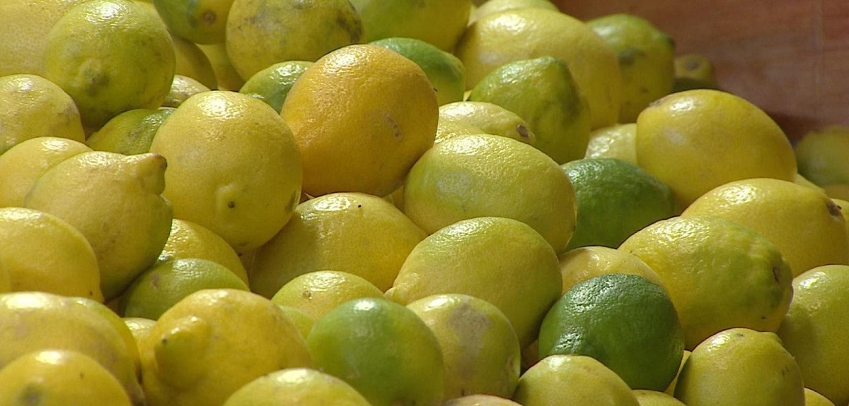 ¿Qué alimentos bajaron de precio pese a fuerte alza de la inflación en Chile?