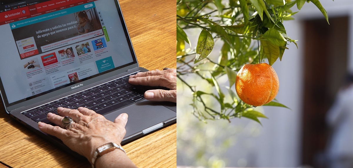 Desde tecnología hasta frutas: INE reveló cuáles son los productos que más han bajado de precio