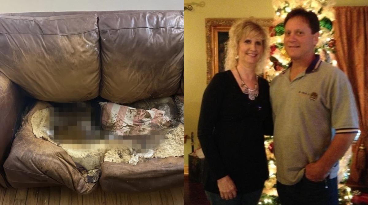 Sillón Ewell Bickham