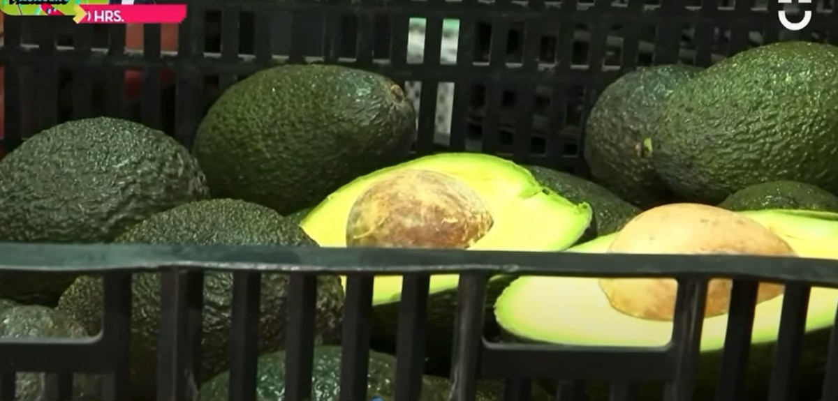 Leandro Penna inició exitoso negocio en Chile: "Mi emprendimiento es líder en la venta a restoranes”