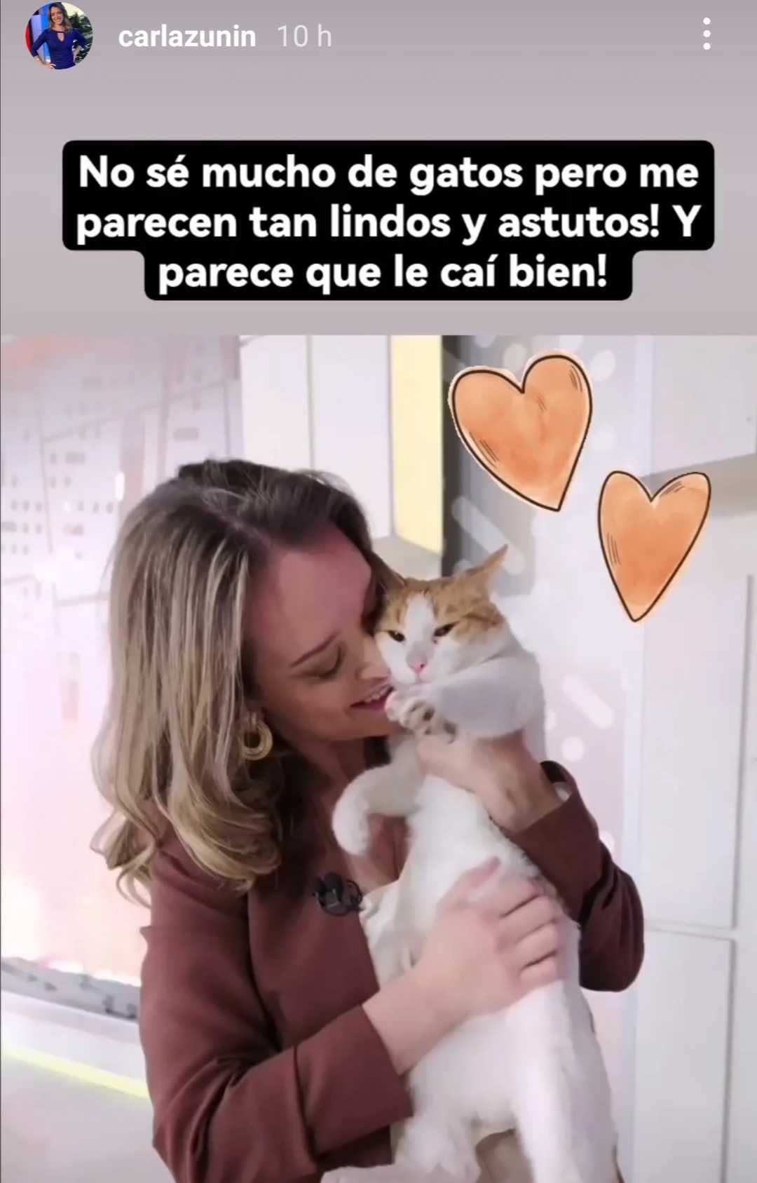 Carla Zunino gato 24 Horas