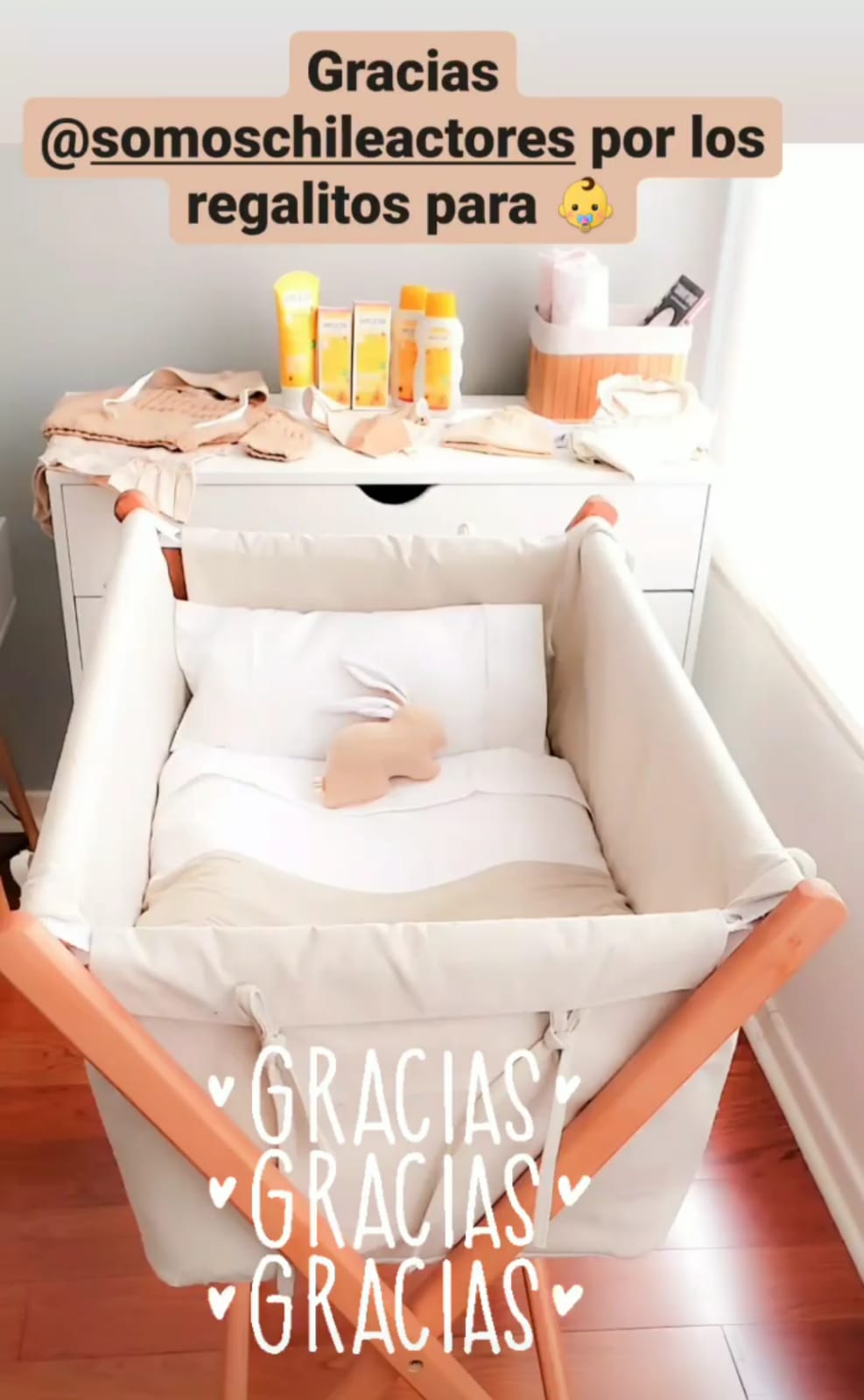 Constanza Araya Verdades Ocultas