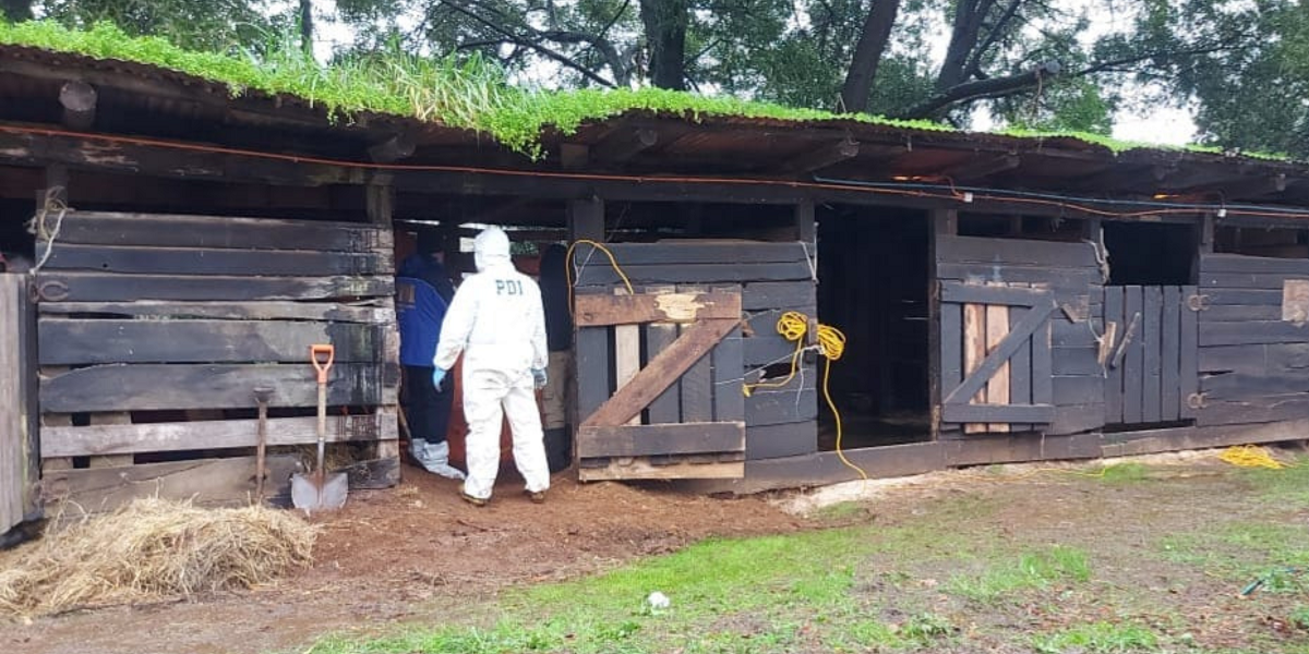 Hallan cuerpo de mujer desaparecida hace 20 años: habría sido asesinada por su esposo