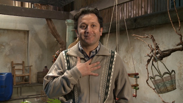 Daniel Alcaíno en Los 80