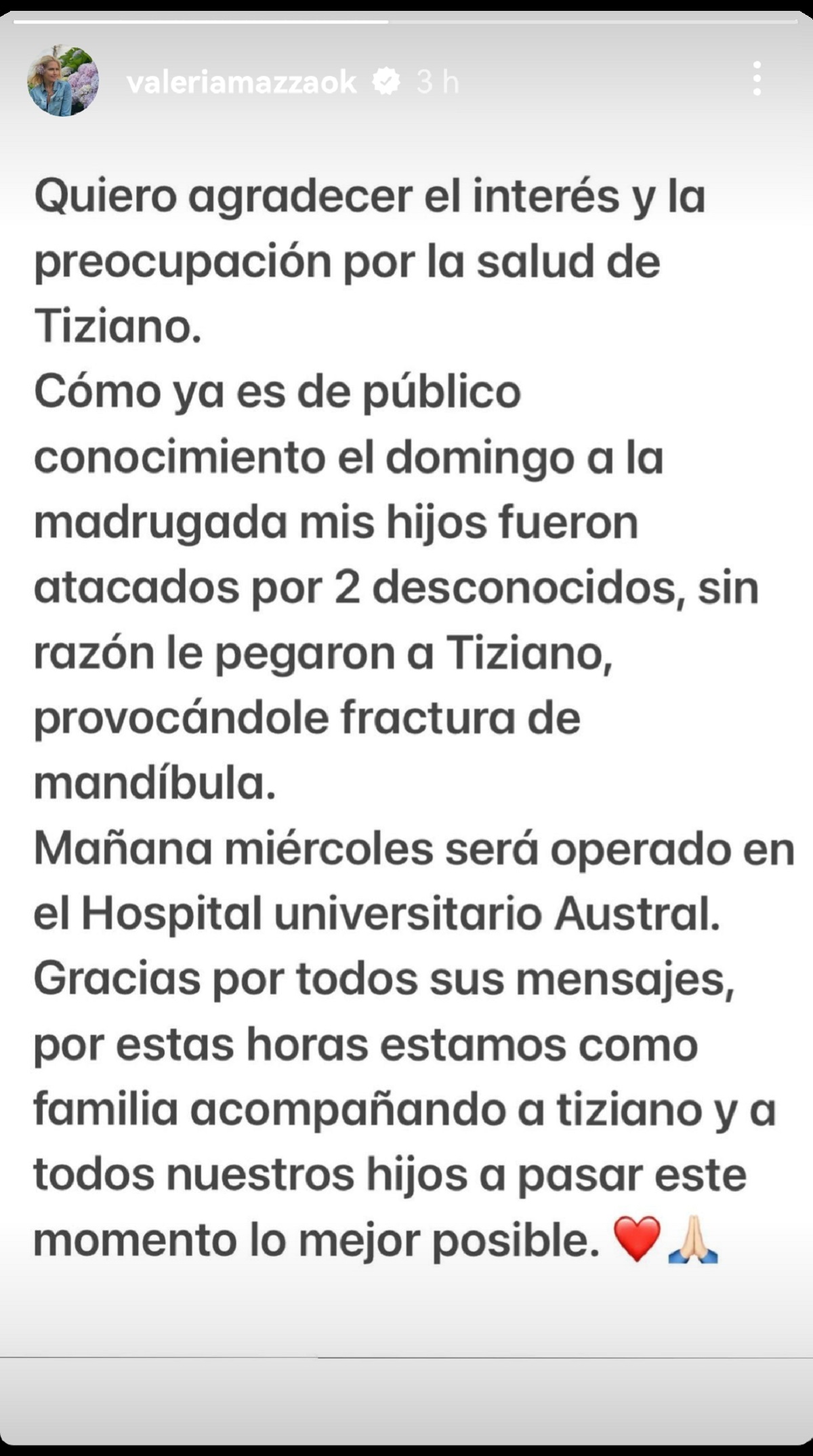 Valeria Mazza agresión a su hijo