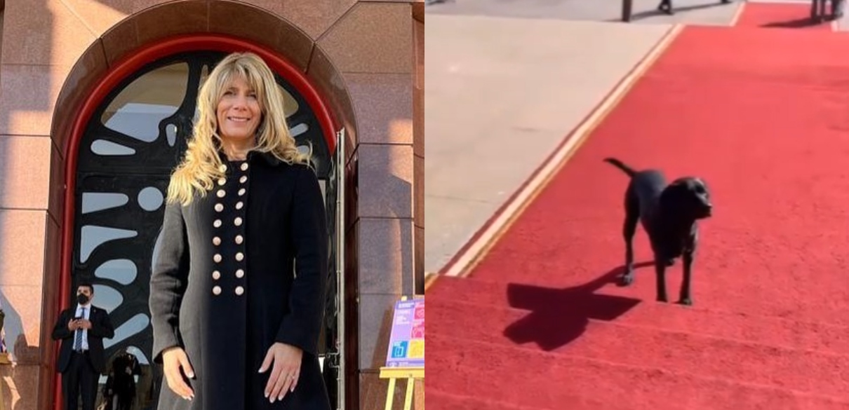 Perrito se robó la atención en alfombra roja de cuenta pública: apareció en foto con Ximena Rincón
