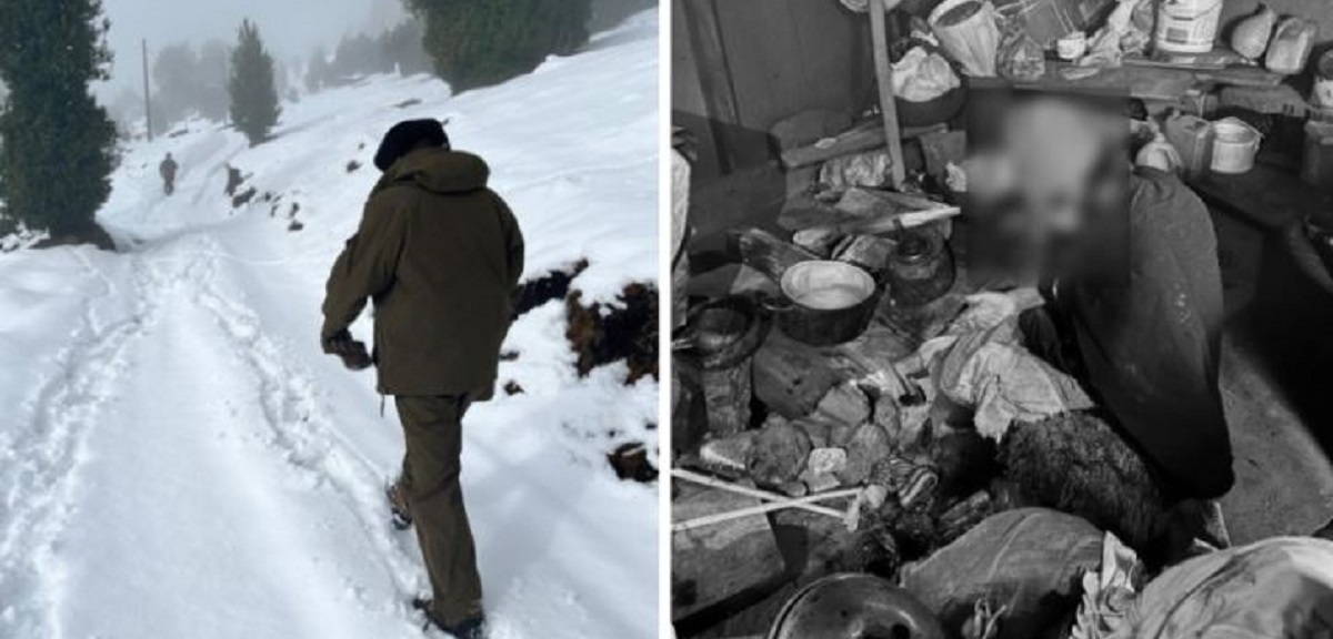 Hallan a adulta mayor de 80 años sola y aislada en sector cordillerano de Panguipulli