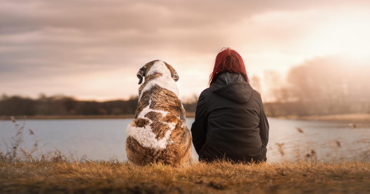 calcular edad humana de tu perro