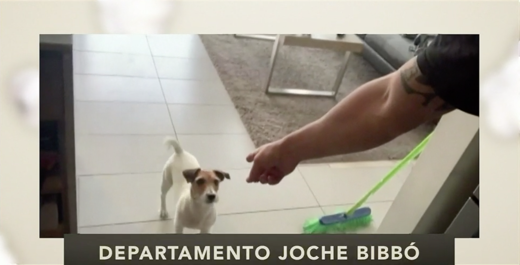 Departamento Joche Bibbó